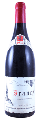 Domaine Vincent Dauvissat - Irancy 2013 Rouge