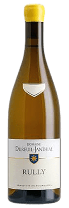 Domaine Vincent Dureuil-Janthial - Rully 2020 Blanc