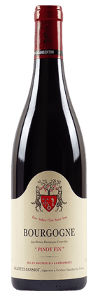 Domaine Geantet-Pansiot - Bourgogne Pinot Noir 2023 Rouge
