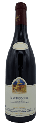 Domaine Georges Mugneret Gibourg - Bourgogne Les Lutenières 2020 Rouge