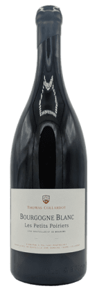 Domaine Thomas-Collardot - Bourgogne Les Petits Poiriers MAGNUM 2023 Blanc