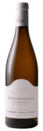 Domaine Chavy-Chouet - Bourgogne Les Femelottes 2021 Blanc