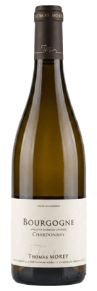 Domaine Thomas Morey - Bourgogne chardonnay 2023 Blanc