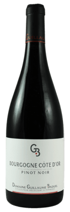 Domaine Guillaume Baduel - Bourgogne Pinot Noir 2020 Rouge