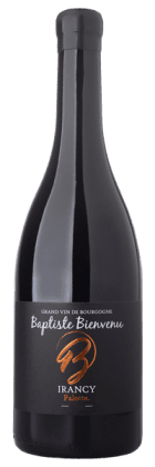 Baptiste Bienvenu - Irancy Palotte 2021 Rouge