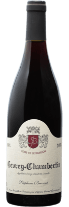 Stéphane Brocard - Gevrey-Chambertin 2001 Rouge