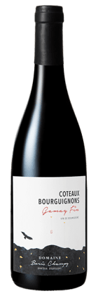 Domaine Boris Champy - Coteaux Bourguignons Gamay Fin 2022 Rouge