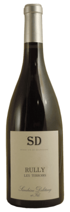 Sandrine Delétang et Fils - Rully Les Terroirs 2021 Blanc